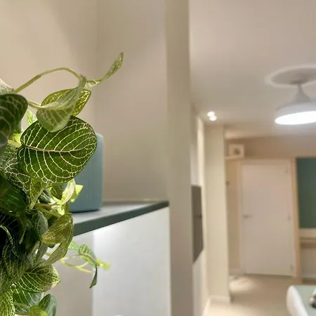 Apartment Old Cute & Comfort Osito Hub B *