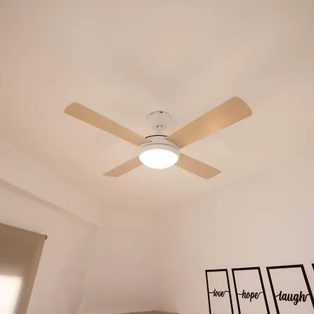 Cruz Cubierta 瓦伦西亚