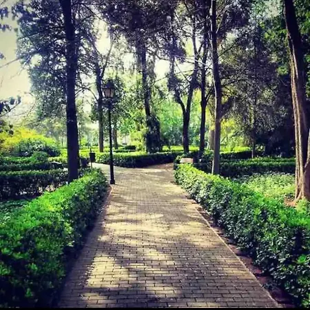 Fantastic Near & Science Apartman Valencia