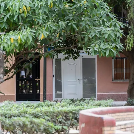 Fantastic Near & Science