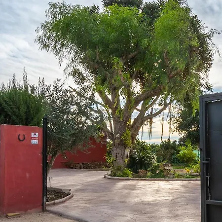 Apartment Orange Blossom Unique *