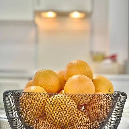 Spacious, Sunny Flat By Of Arts & Sciences *