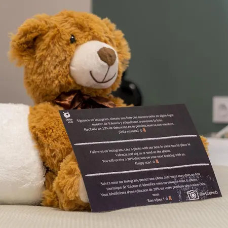 Daire Osito Hub - Pintor Nicolau Valensiya