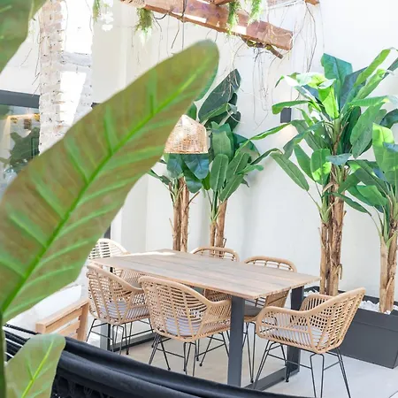 Con Piscina Y Terraza