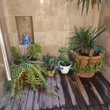 En Plom Appartement Valencia