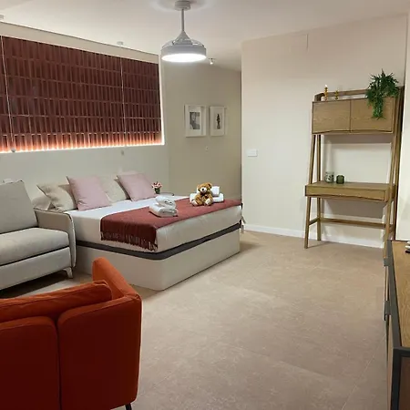 Osito Hub - Pintor Nicolau Valensiya