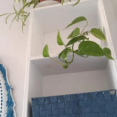 Blue Double Private At Front - En La Playa Piso Compartido Valência