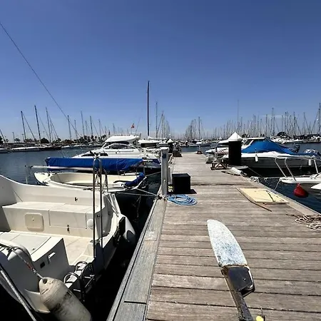 Marine Dream