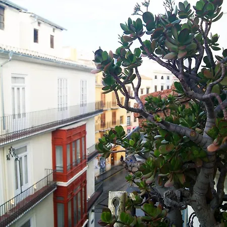 Centricos Barrio Del Carmen Apartment