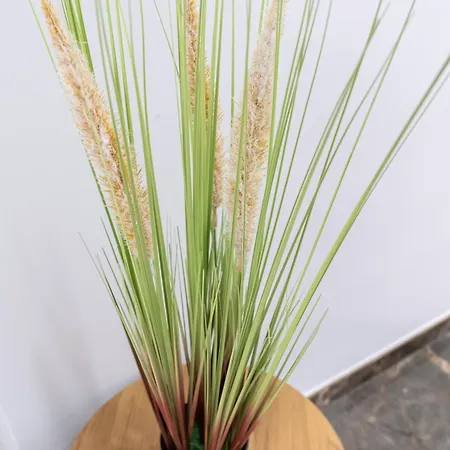 Turistico Lux Center Apartment Valencia