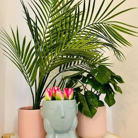 Apartment Color & Design Next To Russafa Soho