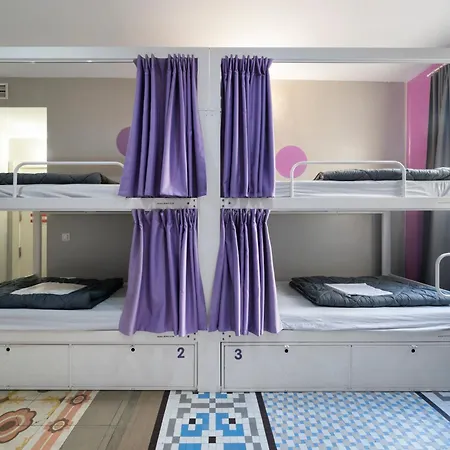 Purple Nest *