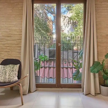 Elegante En Plaza Del Carmen F2