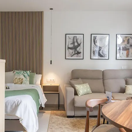 Dorm4you Arena Standar Junior