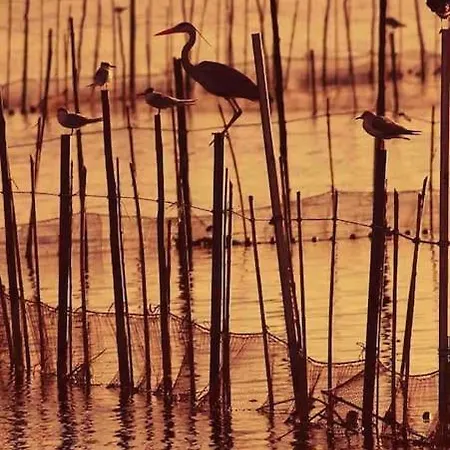 Ruzafa Experience Oceanografic Ciencias Daire *