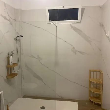 Daire Ruzafa Experience Oceanografic Ciencias *