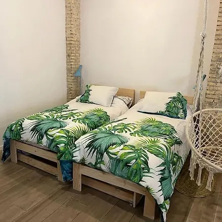 Ruzafa Experience Oceanografic Ciencias