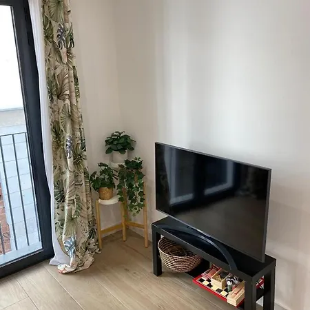 Escolano Mas 11 Noches Valencia