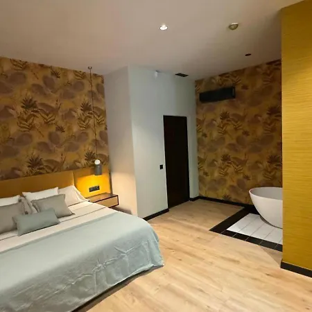 Saman Boutique 4* Valence