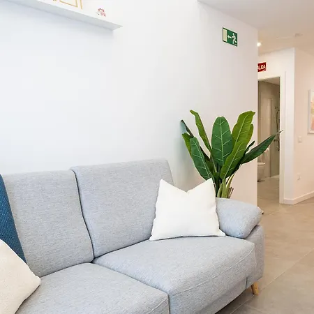 Main Lofts 公寓 瓦伦西亚