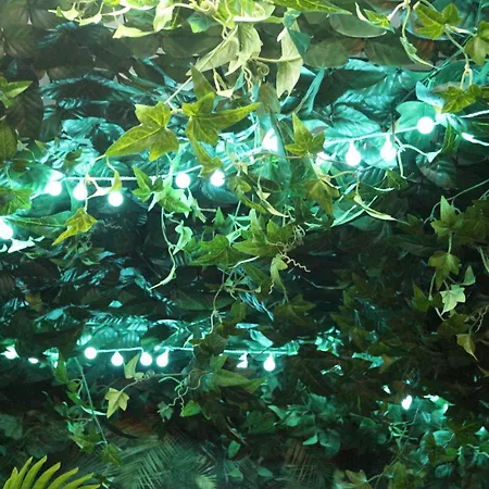 The Pod Village אכסניה *