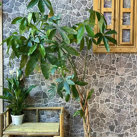 The Pod Village אכסניה