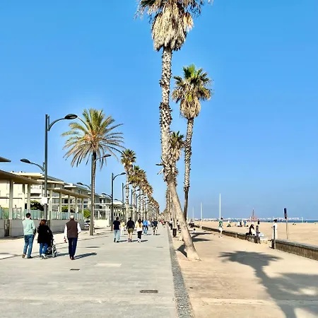 Beachfront 22