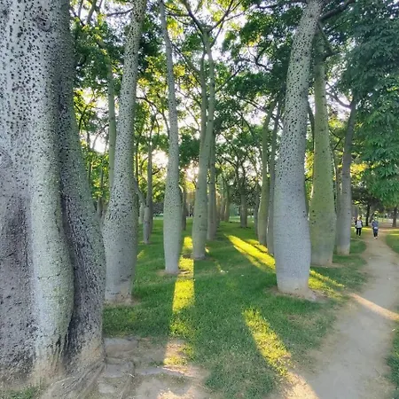 Comfy And Luminous With Balcony شقة *