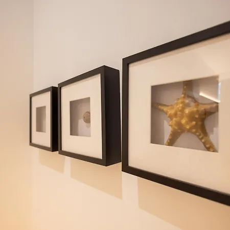 Florit Flats - The Pitiusas