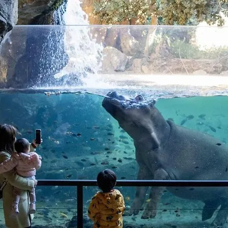 Dúplex-lofts Les Arts I Les Ciències Appartement Valence