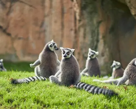 Dúplex-lofts Les Arts I Les Ciències *