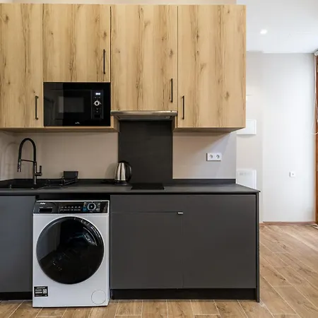 アパート Premium Junto Al Rio Turia 2 バレンシア