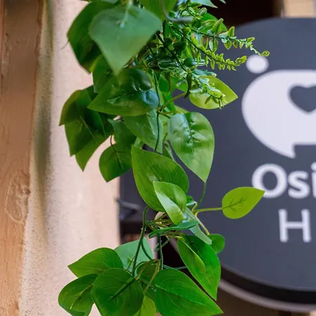 Apartment Osito Hub - Poeta Duran Valencia
