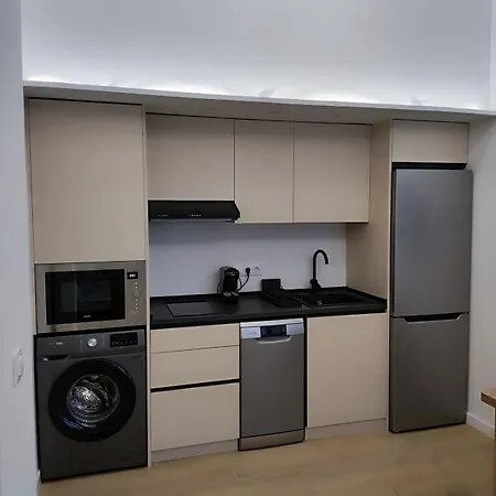 Pingueino - Entire - Near And Stadium By Rio Turia * Valencia
