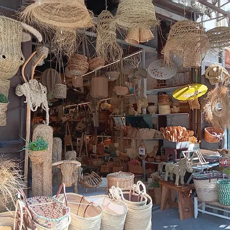 Temporal Familias, Turismo, Estudiantes Y Trabajo 