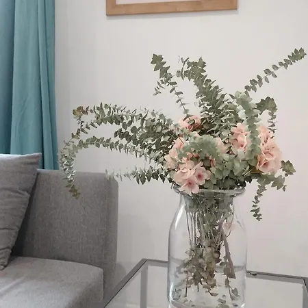 Familias Y Grupos Muy Grande En El Centro De *