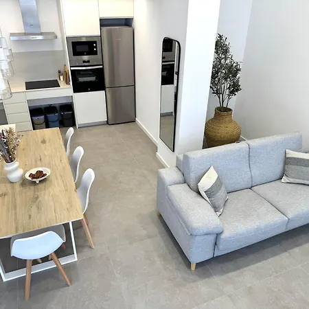 Main Lofts 公寓 瓦伦西亚