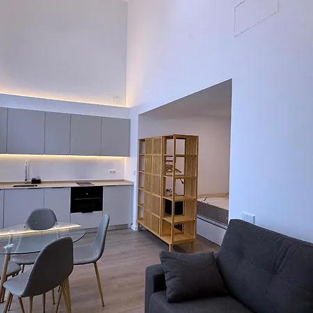 Exclusivo Loft En Zona Privilegiada En Apartment