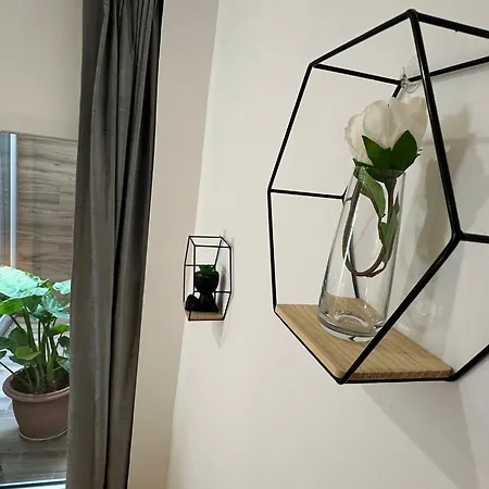 La Fonda De Olympia 公寓 瓦伦西亚