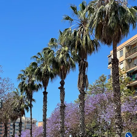 Lounge Garden Sea Mint Fresh