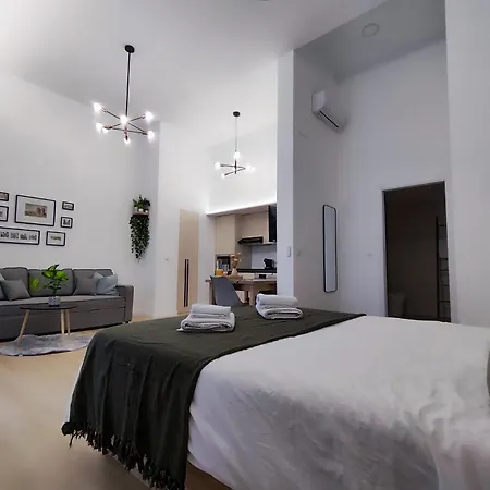 Pingueino - Entire - Near And Stadium By Rio Turia * Valencia