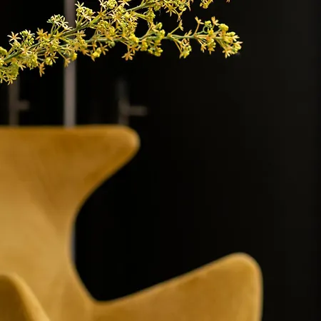 Maison d'hôtes Blanq Comedias