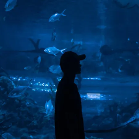 Neobeds - Stylish Modern 1br Near Old Town & Steps From Turia Park Apartman Valencia