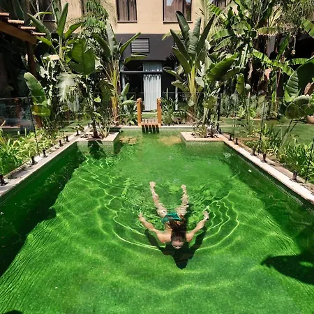 Hotell Saman Boutique Valencia