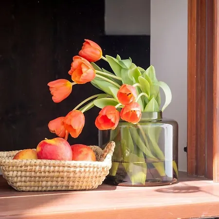 Appartement Con Patio Playa Cabanyal Valencia