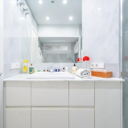 Lujoso Atico Palau De La Musica