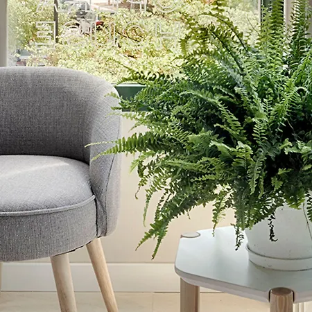 Hotel Opera House 3*