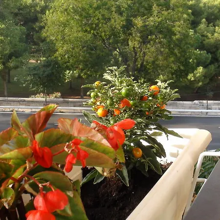 公寓 Holastays Jardines Del Turia