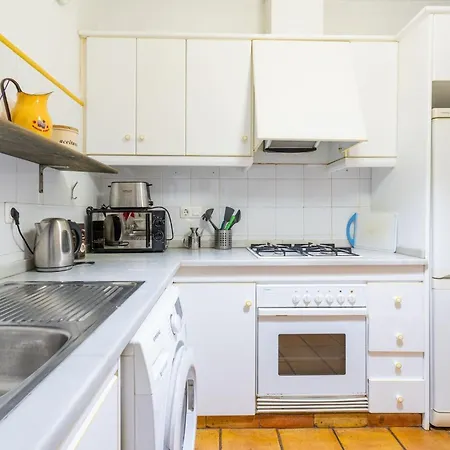 Invalencia Musico 2 Turia Gardens