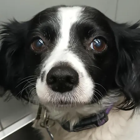 公寓 Alquilo 24 Euros Por Noche Super